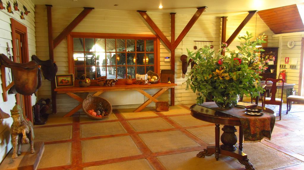 Hotel Boutique La Caballeriza Limache Exterior photo